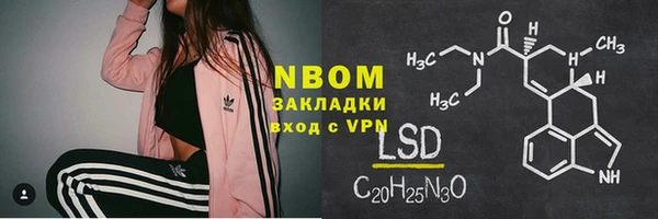 хмурый Алзамай