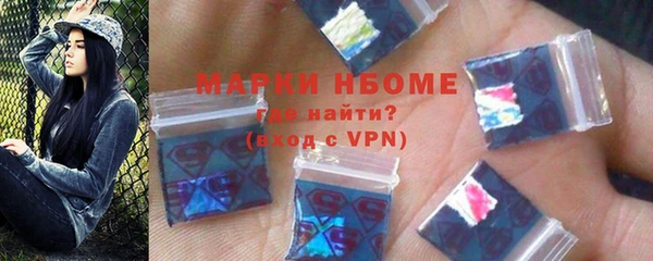 хмурый Алзамай
